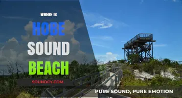 Discovering Hobe Sound Beach: Location, Access, and Hidden Gems