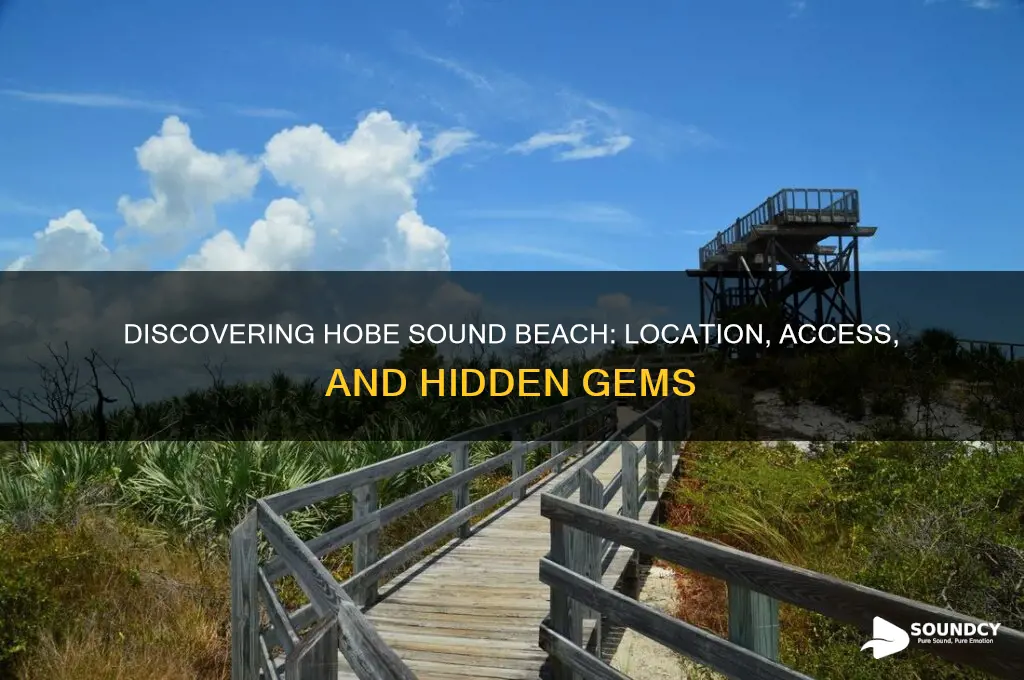 where is hobe sound beach