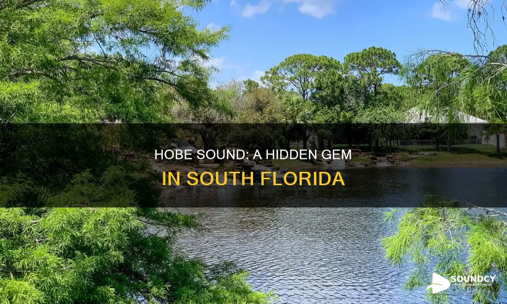where is hobe sound in florida