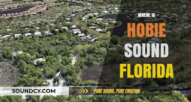 Discovering Hobie Sound: Location, Access, and Florida's Hidden Gem