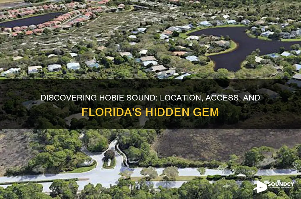 where is hobie sound florida