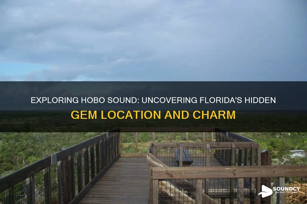 where is hobo sound florida