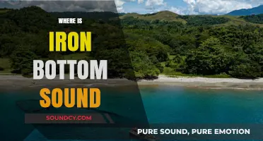 Unveiling the Historic Location of Iron Bottom Sound in the Pacific