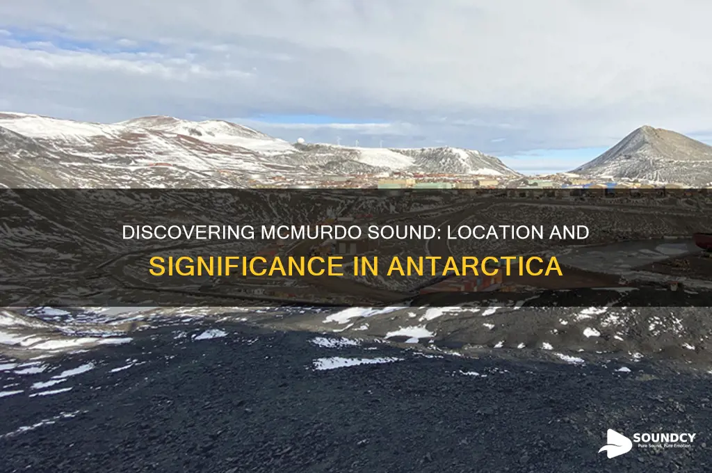 where is mcmurdo sound located