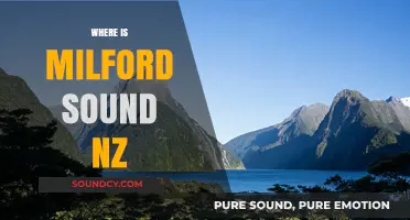 Discovering Milford Sound: Location, Access, and Natural Wonders in NZ