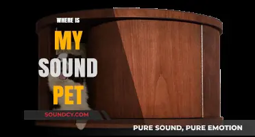 Where is My Sound Pet? Finding Your Lost Audio Companion