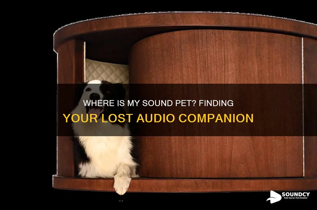 where is my sound pet