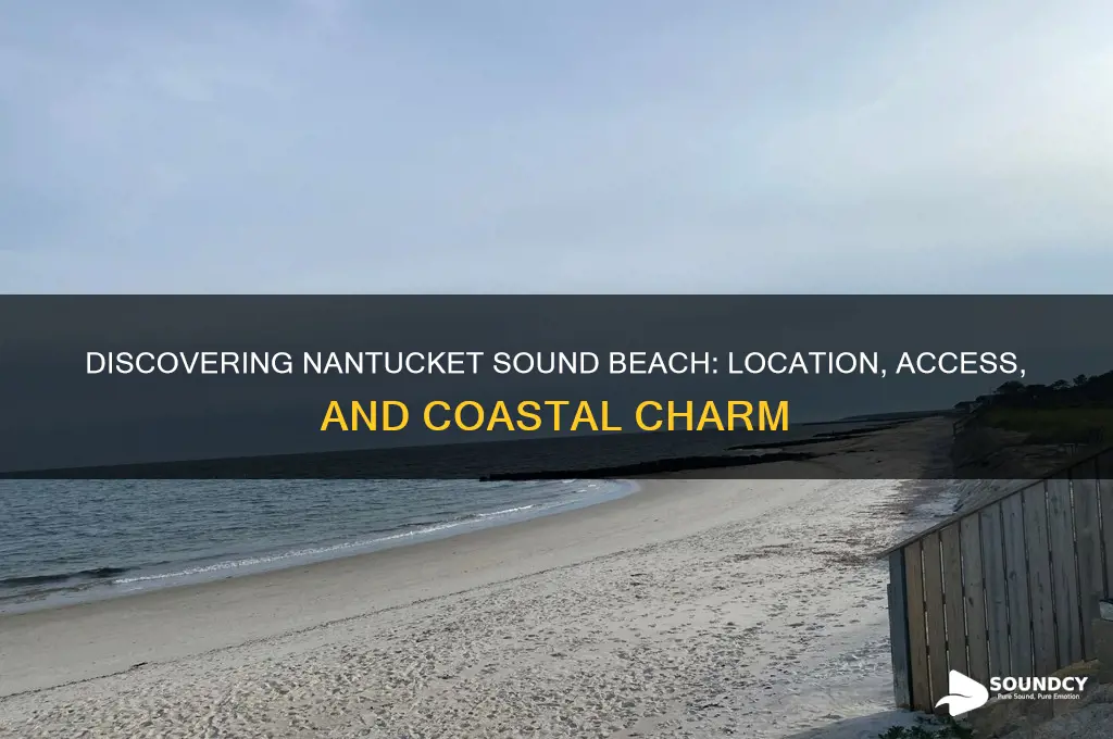 where is nantucket sound beach