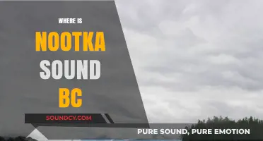 Exploring Nootka Sound: A Hidden Gem on Vancouver Island, BC