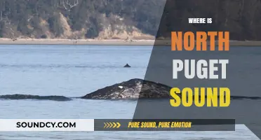 Exploring North Puget Sound: Location, Beauty, and Hidden Gems