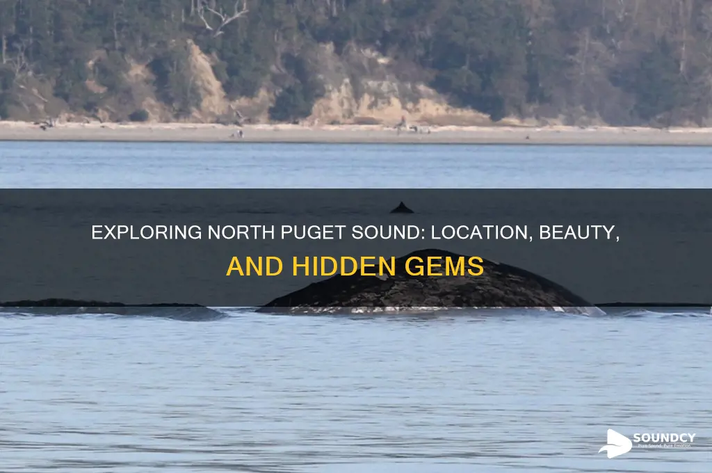 where is north puget sound