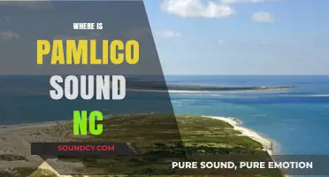 Discovering Pamlico Sound: Location, Beauty, and North Carolina's Hidden Gem