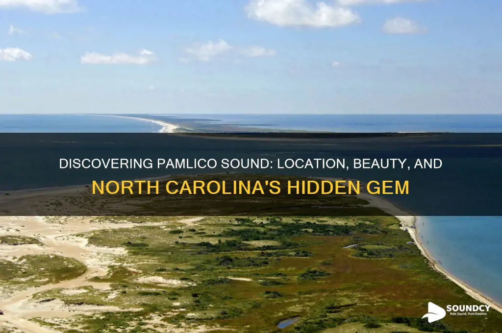 where is pamlico sound nc
