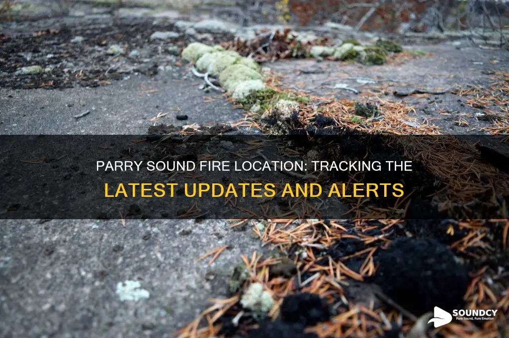 where is parry sound fire