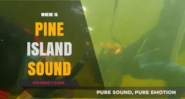 Exploring Pine Island Sound: Location, Beauty, and Hidden Gems Revealed