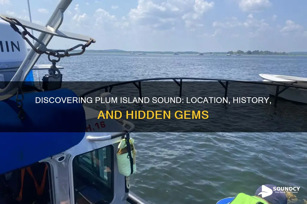 where is plum island sound