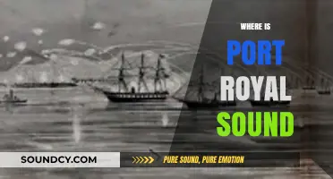 Discovering Port Royal Sound: Location, History, and Hidden Gems