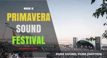 Primavera Sound Festival: Discover the Vibrant Location and Music Scene