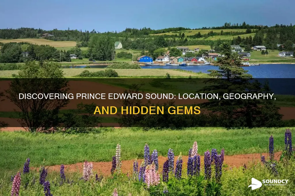 where is prince edward sound