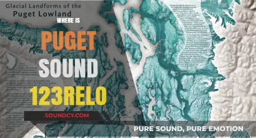 Exploring Puget Sound: Location Insights for 123relo Relocation Services