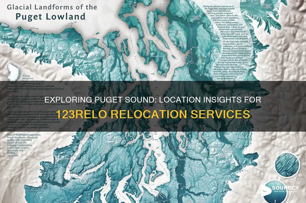 where is puget sound 123relo