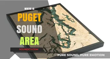 Exploring the Puget Sound Area: Location, Geography, and Nearby Cities
