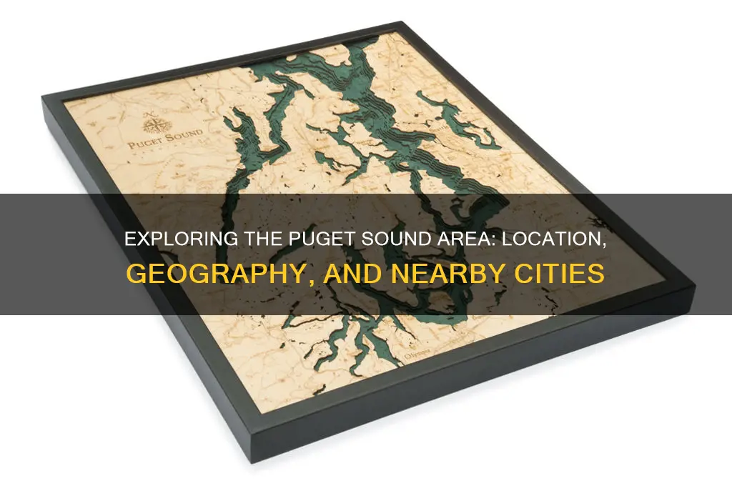 where is puget sound area