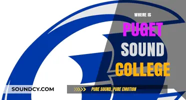Discovering Puget Sound College: Location and Campus Highlights