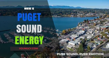 Exploring Puget Sound Energy's Location and Service Area in Washington