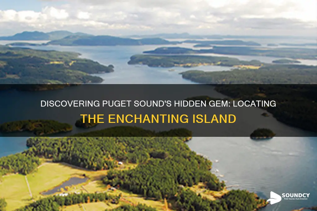 where is puget sound island