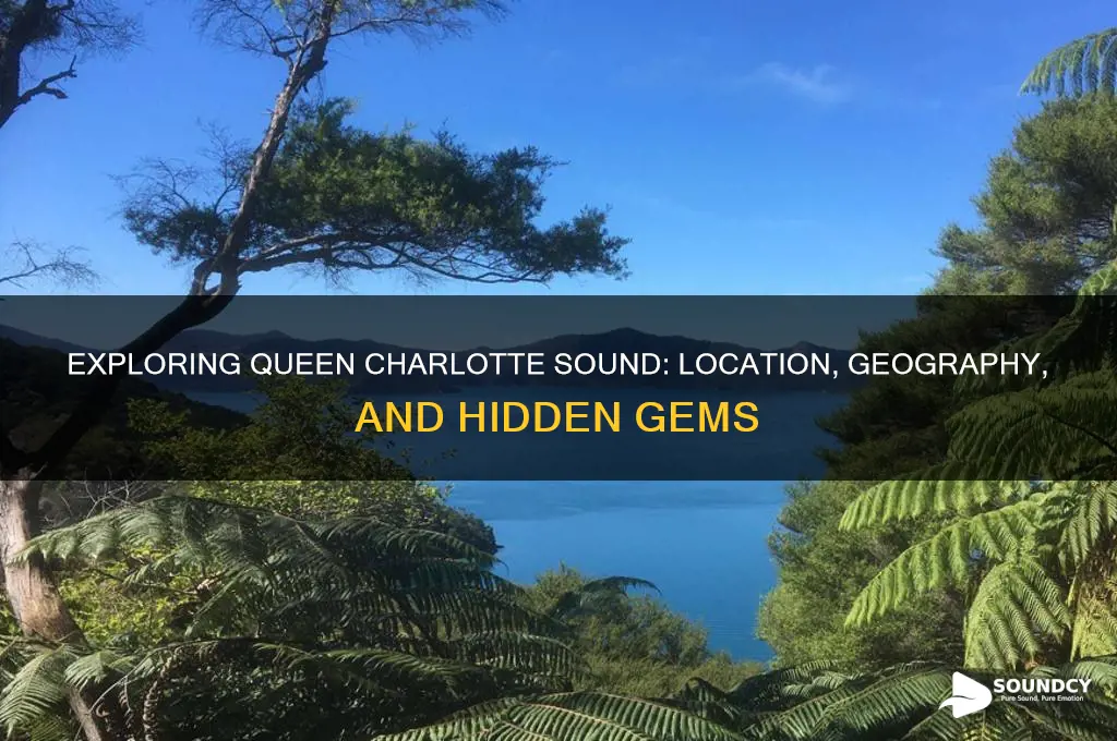 where is queen charlotte sound