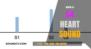 Understanding the Location and Significance of S4 Heart Sound