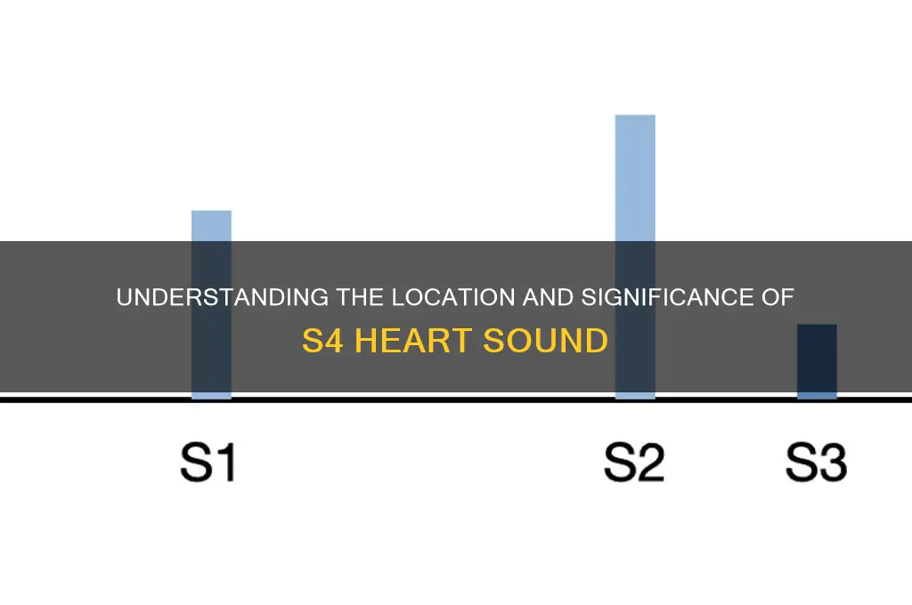 where is s4 heart sound