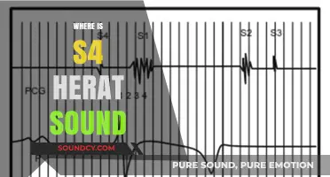 Exploring the Origins of S4 Herat Sound: Location and Mystery