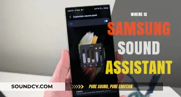 Where to Find Samsung Sound Assistant: A Quick Guide