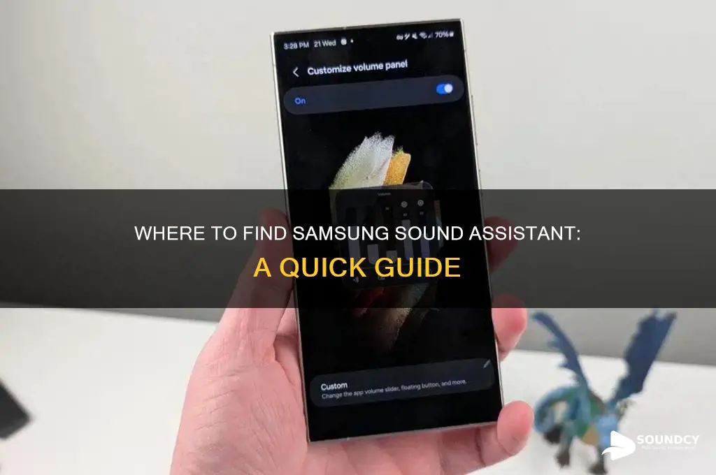 where is samsung sound assistant