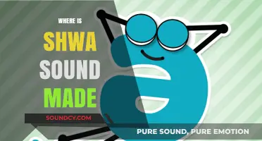 Understanding the Shwa Sound: Its Articulation and Production in Speech