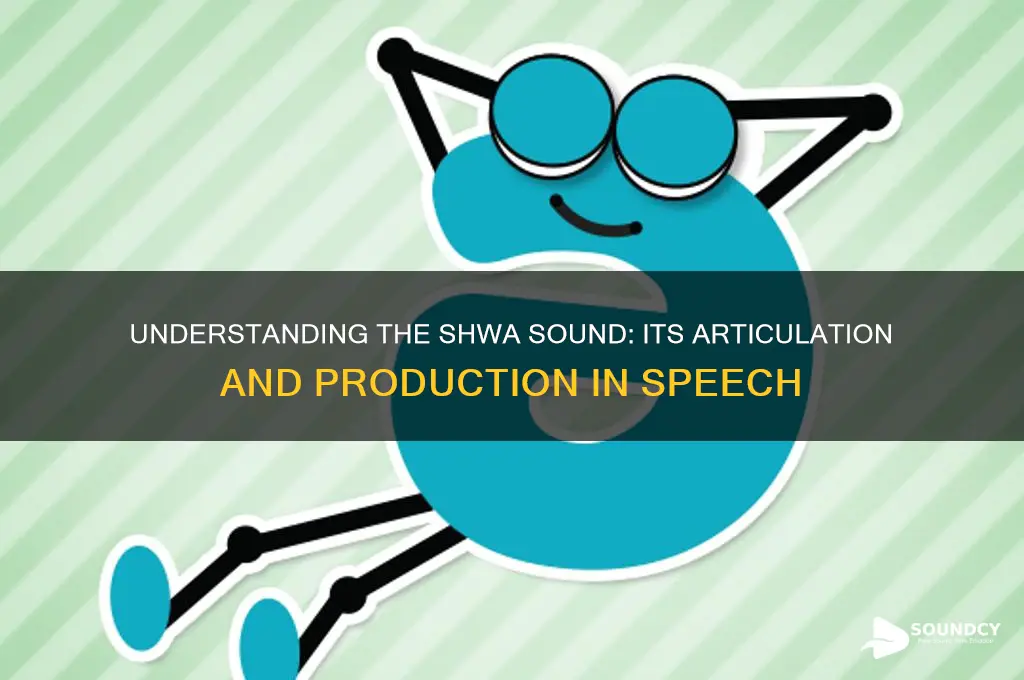 where is shwa sound made