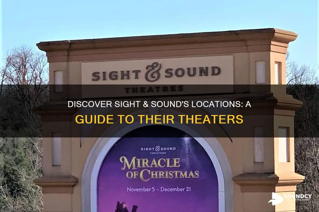 where is sight & sound located