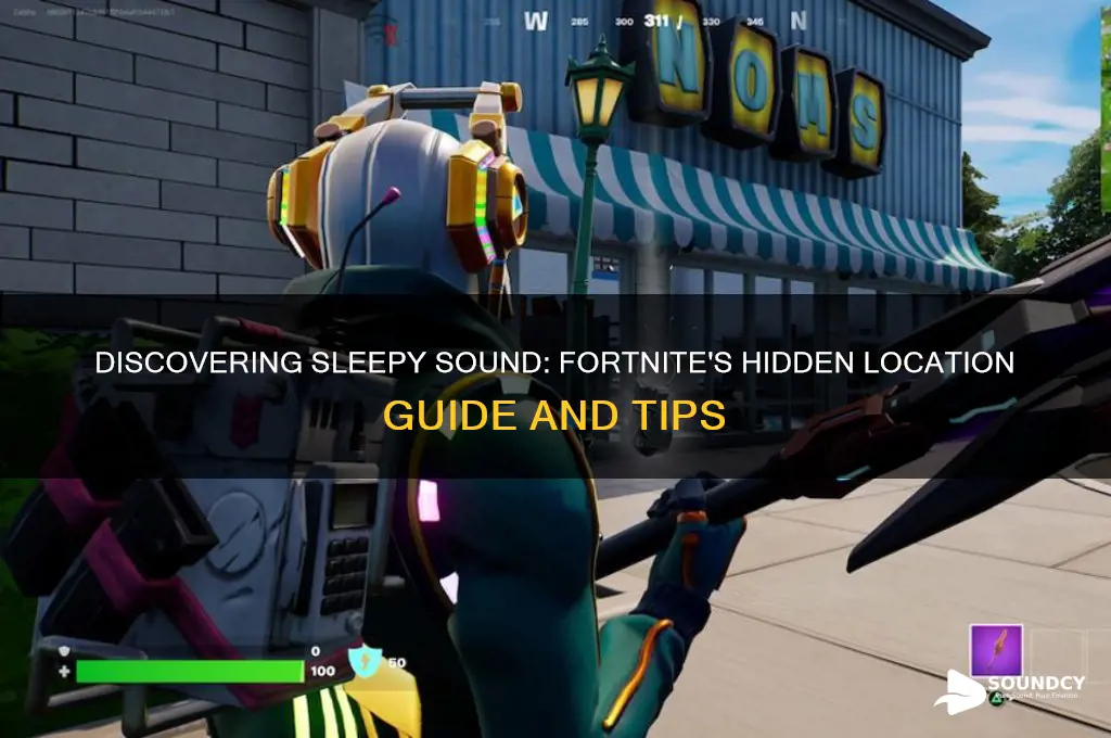 where is sleepy sound fortnite