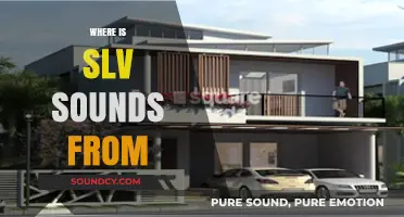 Unveiling SLV Sounds' Origins: A Journey to Their Hometown