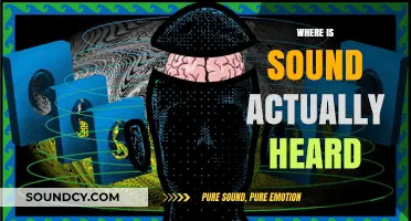 Unveiling the Mystery: Where Sound is Truly Experienced and Heard