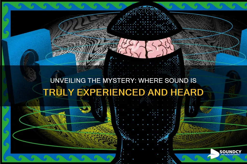 where is sound actually heard
