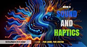 Exploring Sound and Haptics: Where Technology Meets Sensory Experience
