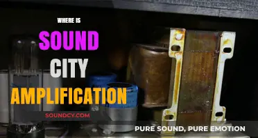 Where is Sound City Amplification? Unveiling the Iconic Studio's Legacy
