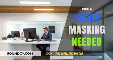 Enhancing Privacy and Productivity: Where Sound Masking is Essential