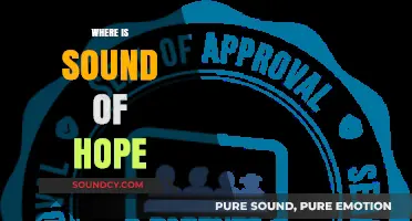 Finding Sound of Hope: A Journey to Its Origins and Impact