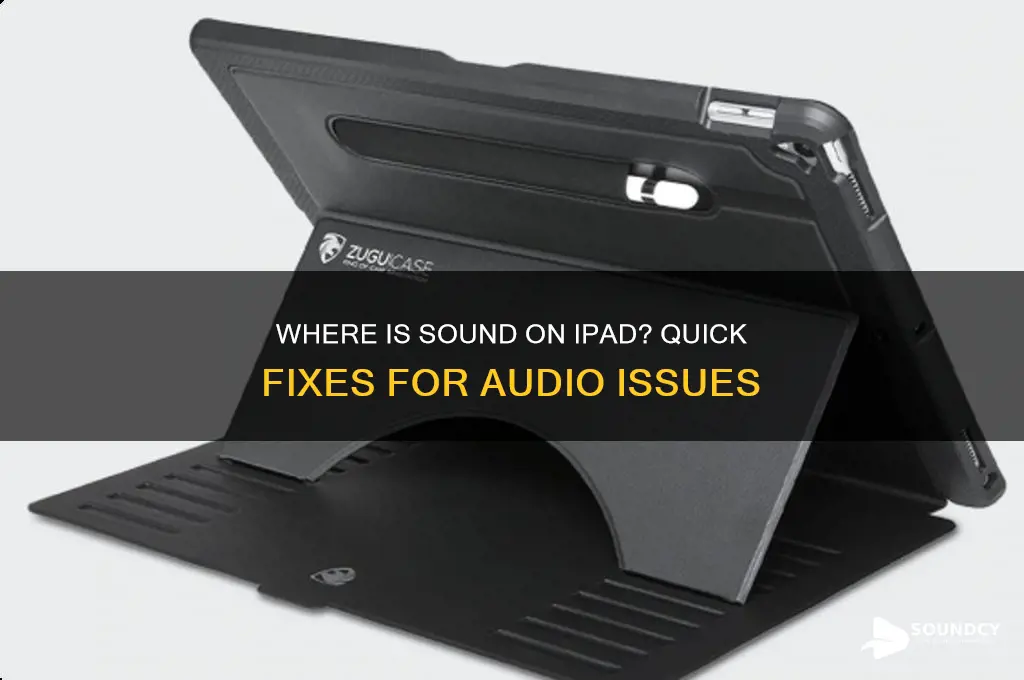 where is sound on ipad