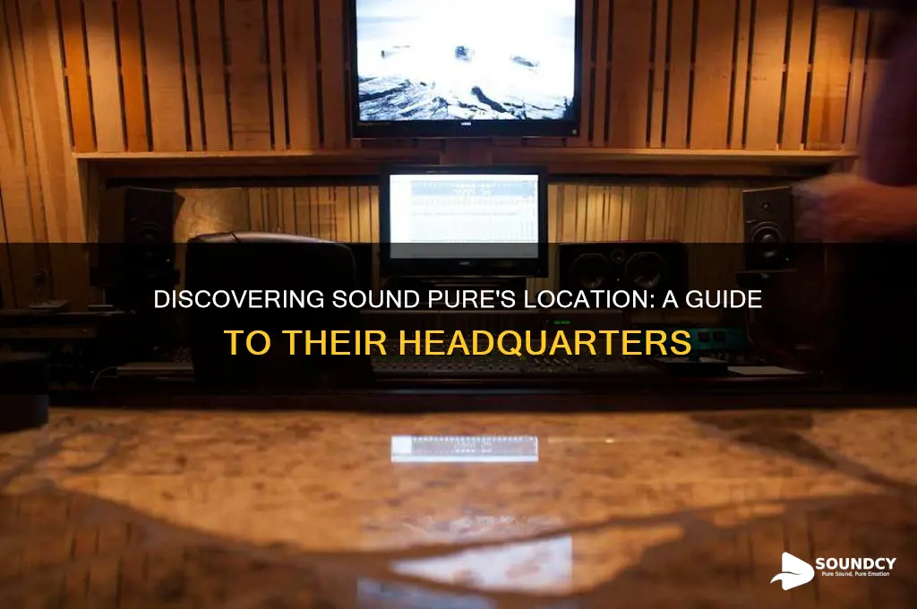 where is sound pure located