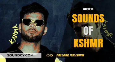 Exploring the Origins and Global Impact of KSHMR's Sounds